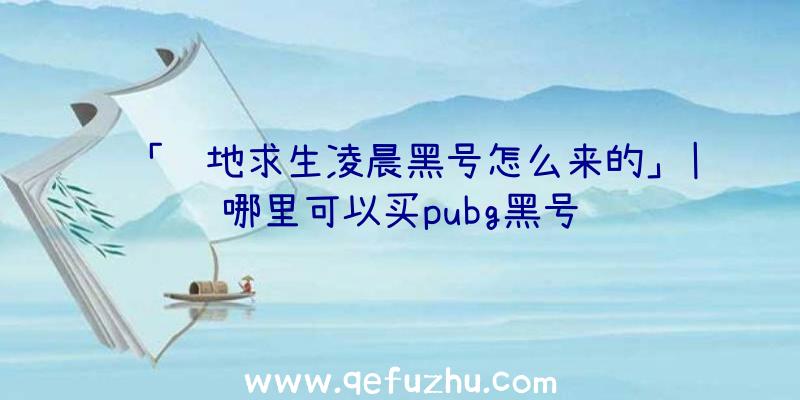 「绝地求生凌晨黑号怎么来的」|哪里可以买pubg黑号